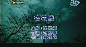 《夜花嬌》 《夜花嬌》