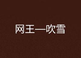 網王—吹雪