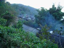 三角樹自然村 三角樹自然村