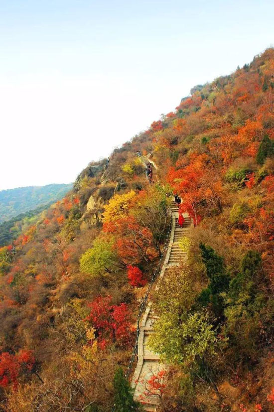 我想和你去旅行。