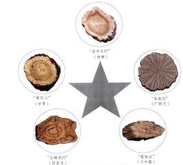 中藥鑑定 中藥鑑定