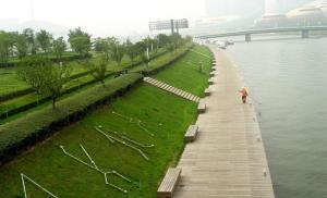 鄭東新區綠地規劃