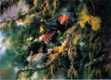 圖片3&middot;六齒大嘴鳥復原圖