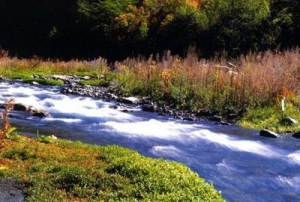 台灣武陵風景區