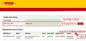 新加坡DHL小包查詢