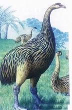 滅絕[某支生物譜系的演化終結或整支譜系的消亡]