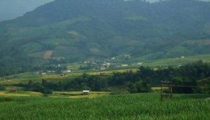 泥博自然村 泥博自然村