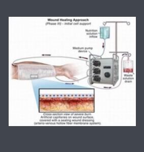 皮膚噴槍 皮膚噴槍