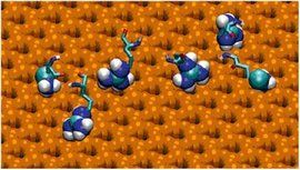 融合蛋白 融合蛋白