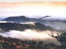 大洋山島 大洋山島