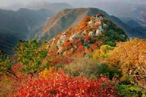 大鴻寨國家森林公園