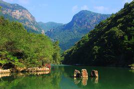 福建九龍谷國家森林公園 福建九龍谷國家森林公園