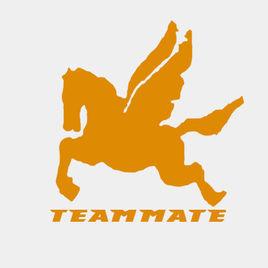 天馬記憶協會 天馬記憶協會