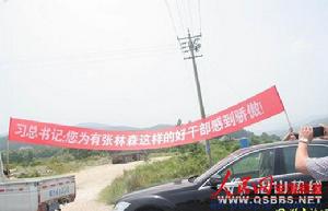 張林森[潛山縣副縣長]