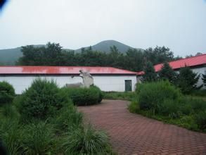 北辛莊戶村 北辛莊戶村