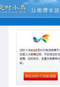 定時小鳥 定時小鳥