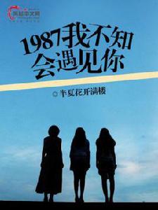 1987我不知會遇見你[風起中文網作者半夏花開滿樓創作的小說]