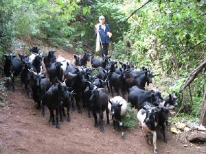 下嘎拉村養殖業