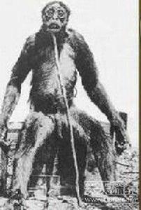 德洛巨猿 德洛巨猿