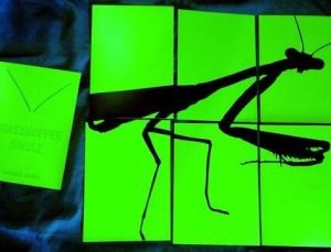 螞蚱叢林[2017年埃德加·懷特執導電影]