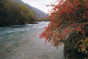 王朗自然保護區