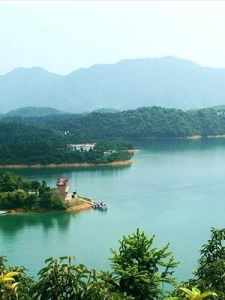 資陽九曲河 資陽九曲河