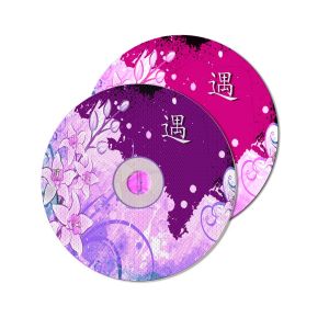 光碟加密 光碟加密