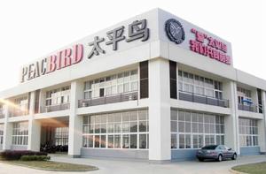 太平鳥集團有限公司 太平鳥集團有限公司