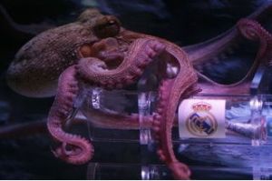 章魚伊格爾 章魚伊格爾