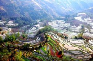 老虎嘴梯田景區 老虎嘴梯田景區
