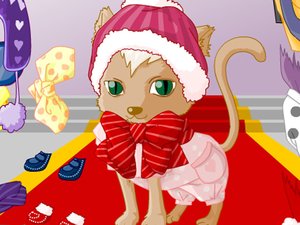 貓咪寵物穿衣 貓咪寵物穿衣