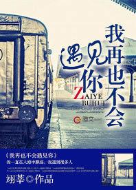 我再也不會遇見你 我再也不會遇見你