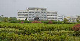 東台新街 東台新街