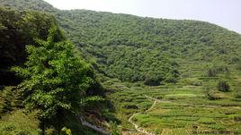 鳳凰山風景區[安徽省銅陵市景區]