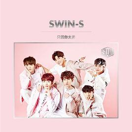 只因你太美[SWIN-S演唱歌曲]