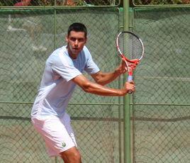 哈內斯庫 哈內斯庫