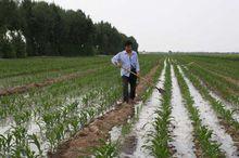 美麗的舍伯吐鎮