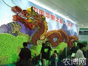 煙臺棲霞蘋果藝術節