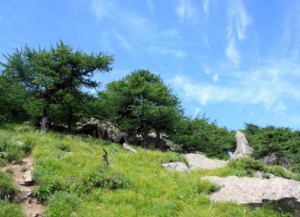 仙峰國家森林公園 仙峰國家森林公園