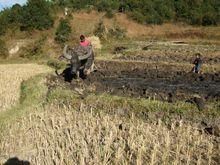 南帕自然村 南帕自然村