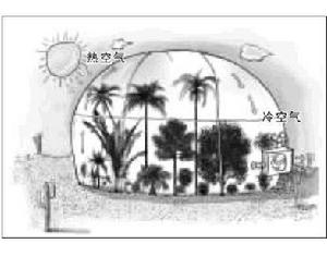沙特阿卜杜拉國王國際花園