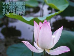 筠州黃檗運禪師示眾 筠州黃檗運禪師示眾