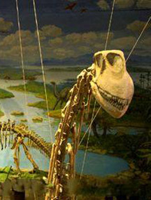 四川自貢恐龍國家地質公園