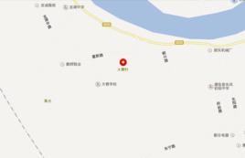 大巷村[廣東省潮州市潮安區東鳳鎮下轄村]