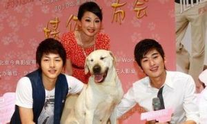 《心心歷險記》