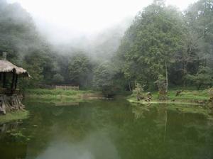 阿里山國家風景區