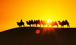 金沙灣生態旅遊區 金沙灣生態旅遊區