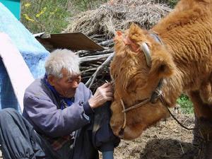 （圖）《老搭檔》