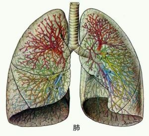 肺澱粉樣變性