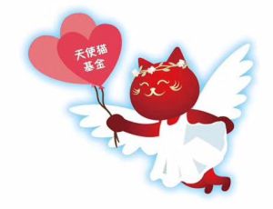 天使貓基金 天使貓基金